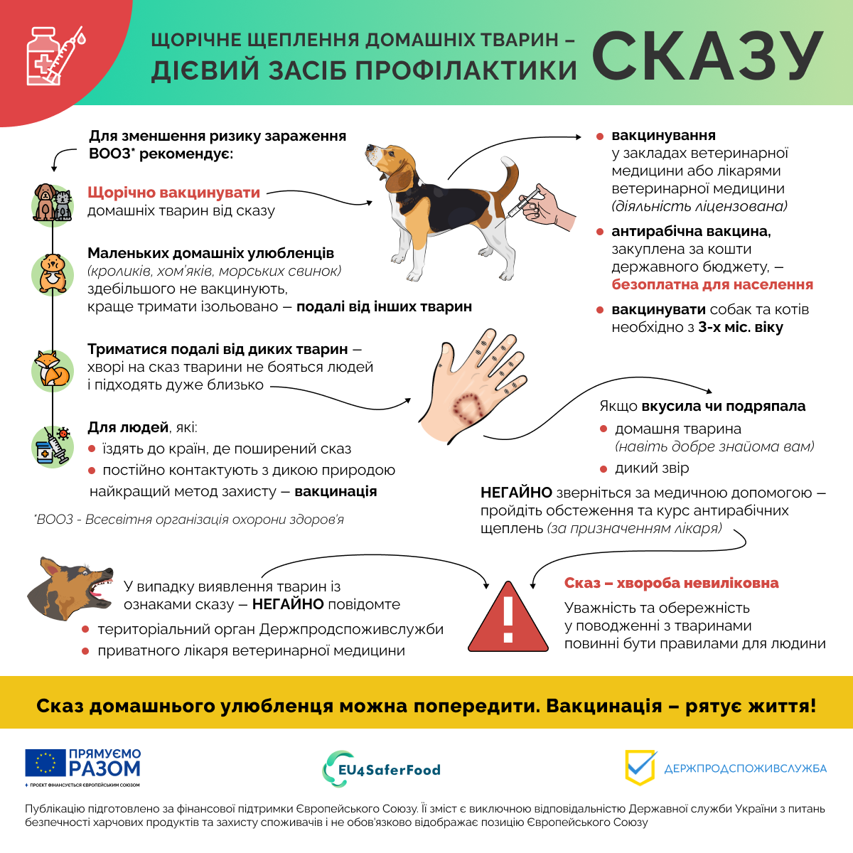 Рекомендації ВООЗ як зменшити ризик заразитися сказом