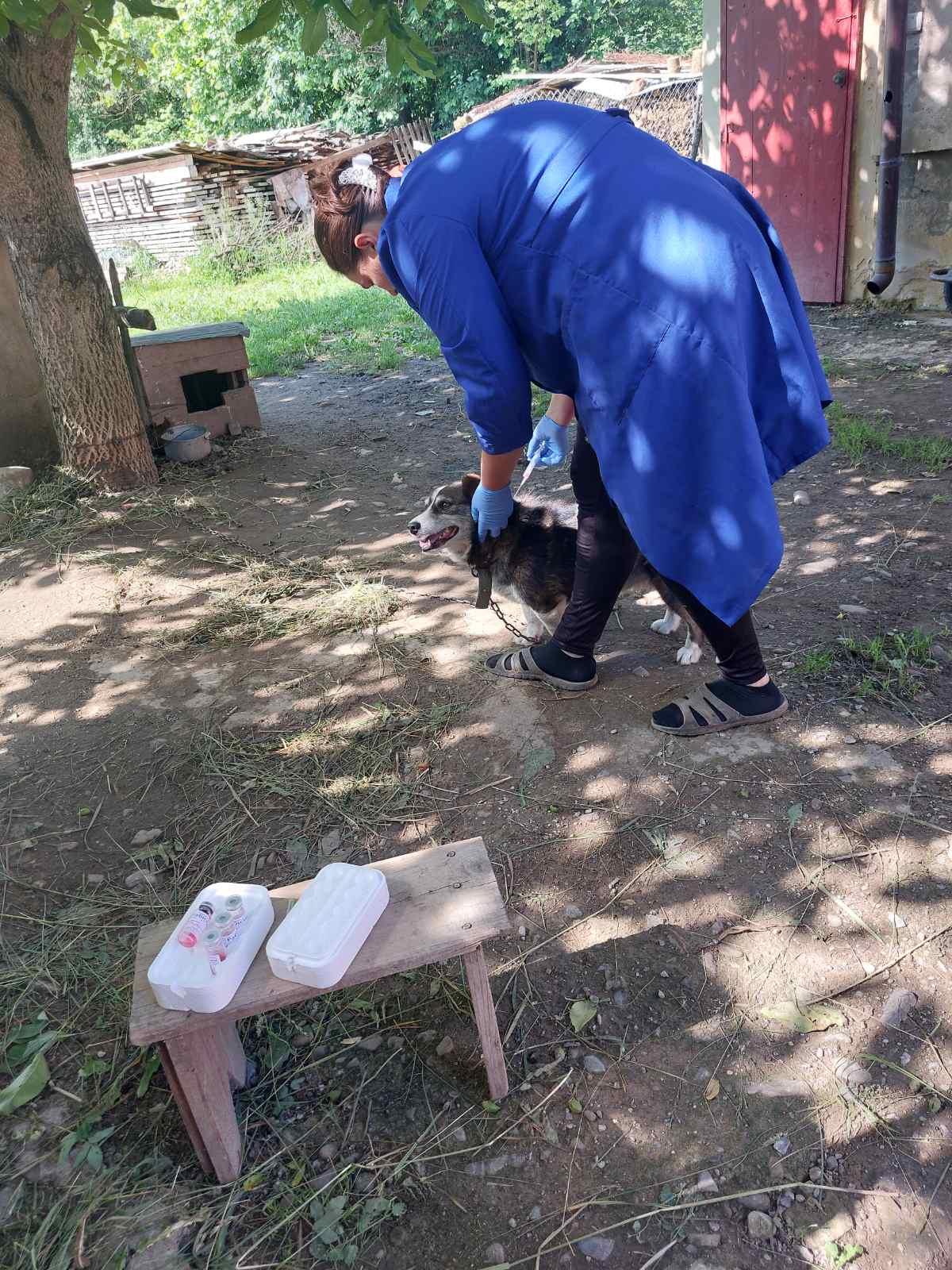 09.06.26 3 2