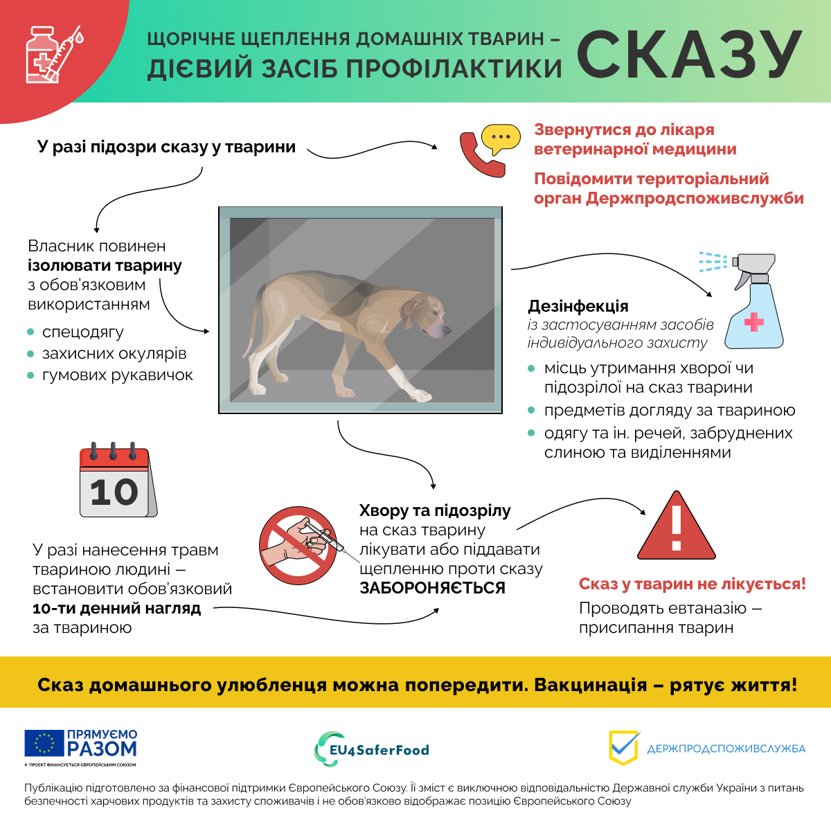 Є підозра, що тварина захворіла на сказ – телефонуйте до  Держпродспоживслужби