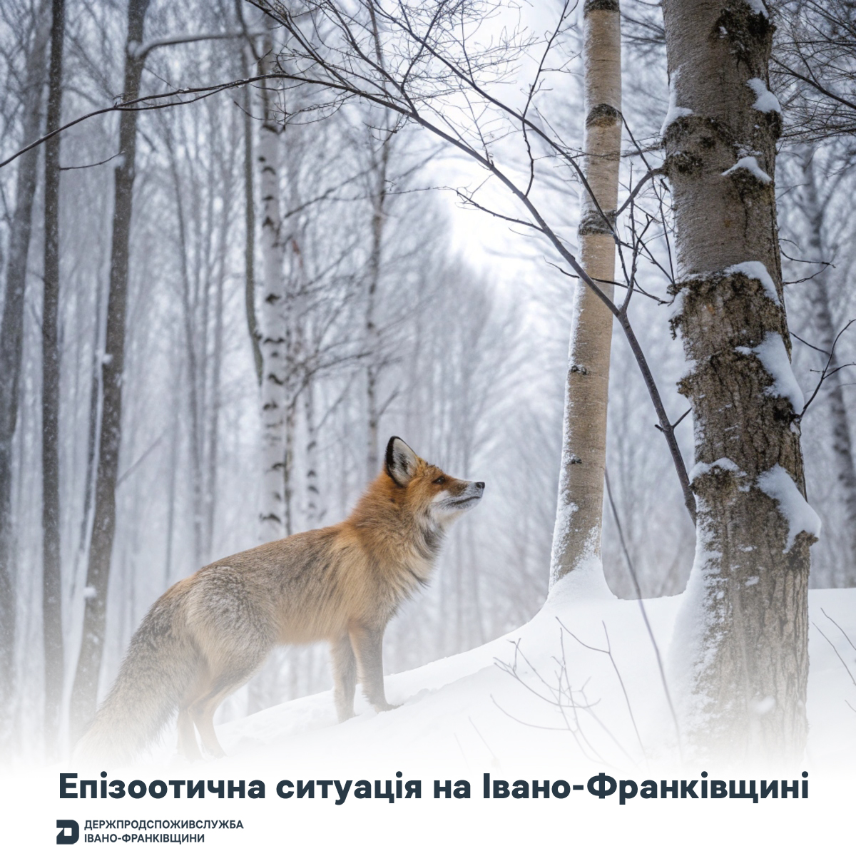 26.01.26 5 1